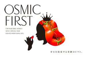 プチトマト様 フルーツミニトマト QUEEN 約150g | OSMIC FIRST onlineshop