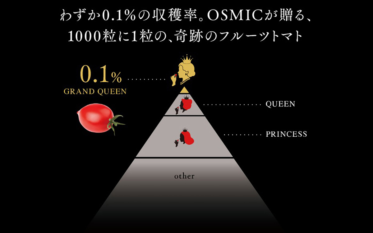 わずか0.1％の収穫率。OSMICが贈る、1000粒に1粒の、奇跡のフルーツトマト