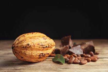 ヴァローナ社「CARAQUE（カラク）56% Cacao」