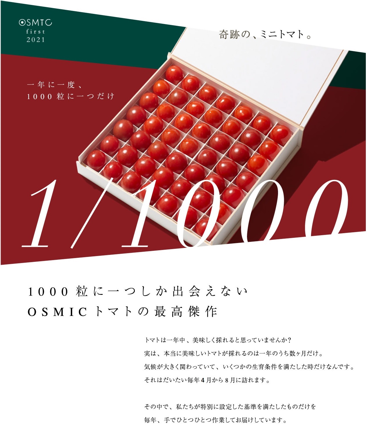 Osmic First 21 約450g 日付指定不可 ラッピング不可 2週間 最大4週間程度で出荷致します オスミック市場