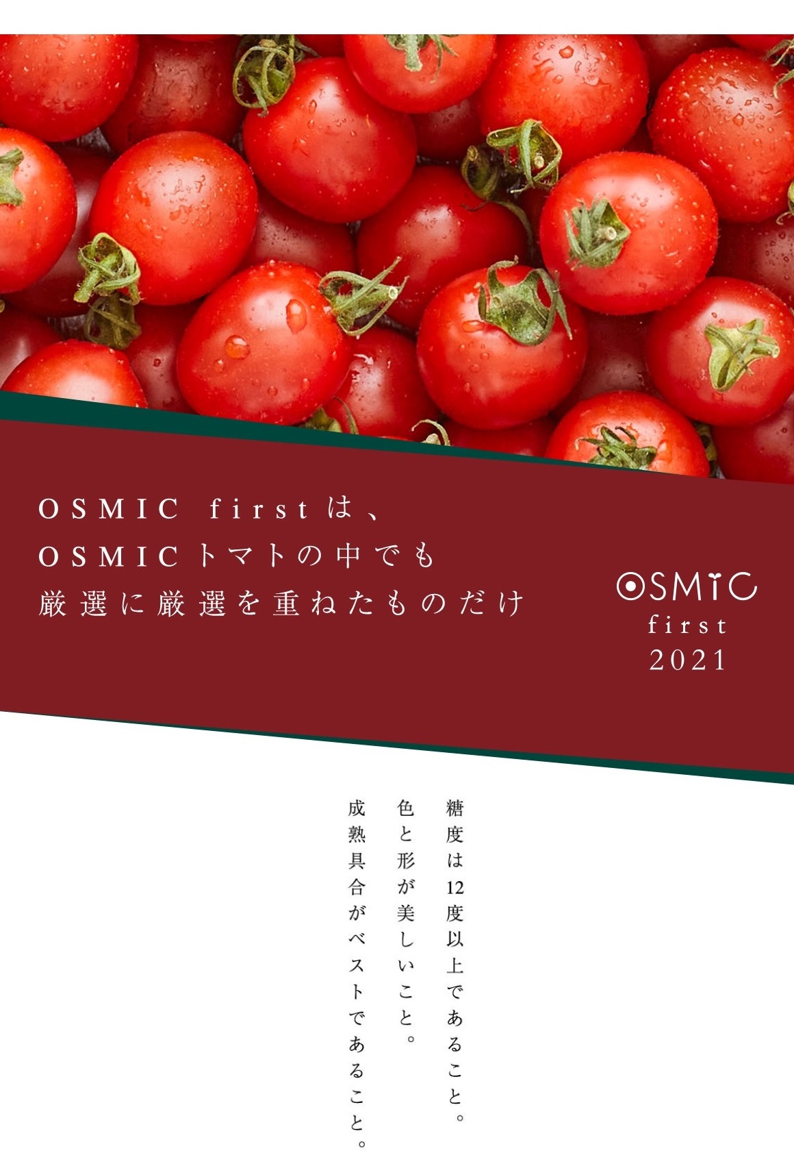 Osmic First 21 約450g 日付指定不可 ラッピング不可 2週間 最大4週間程度で出荷致します オスミック市場