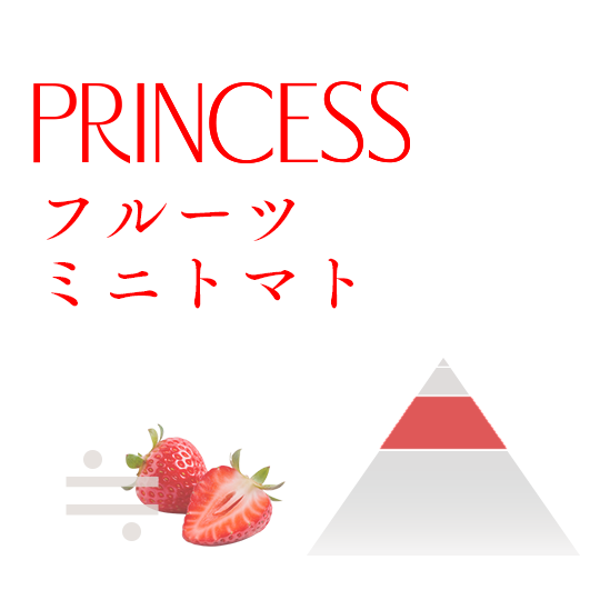 糖度11イメージ