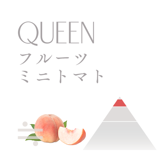 糖度12イメージ