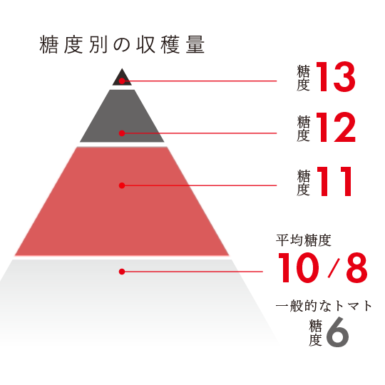 糖度と出現率
