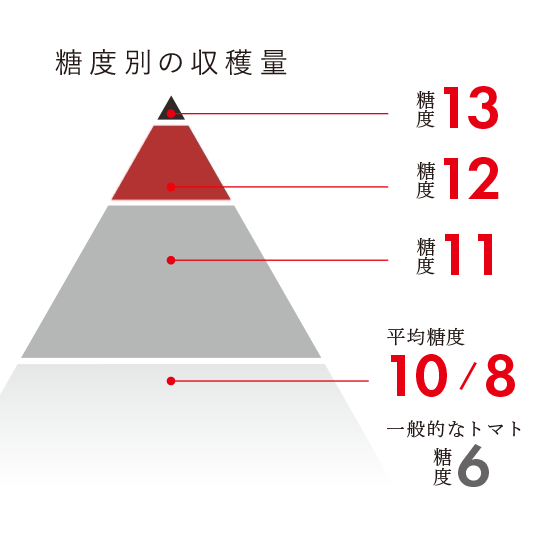 糖度と出現率