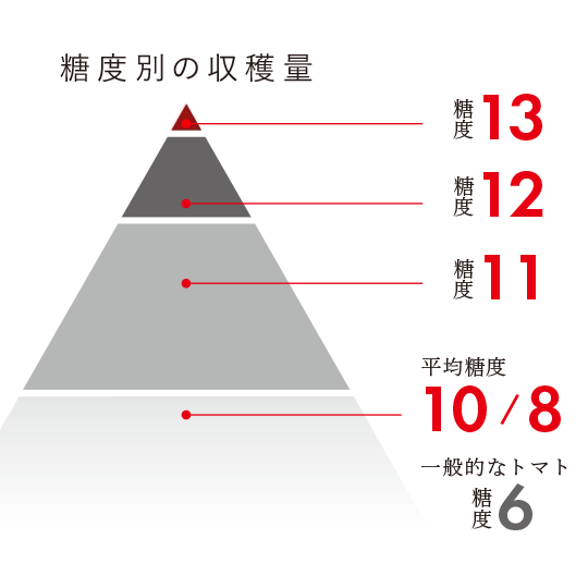 糖度と出現率