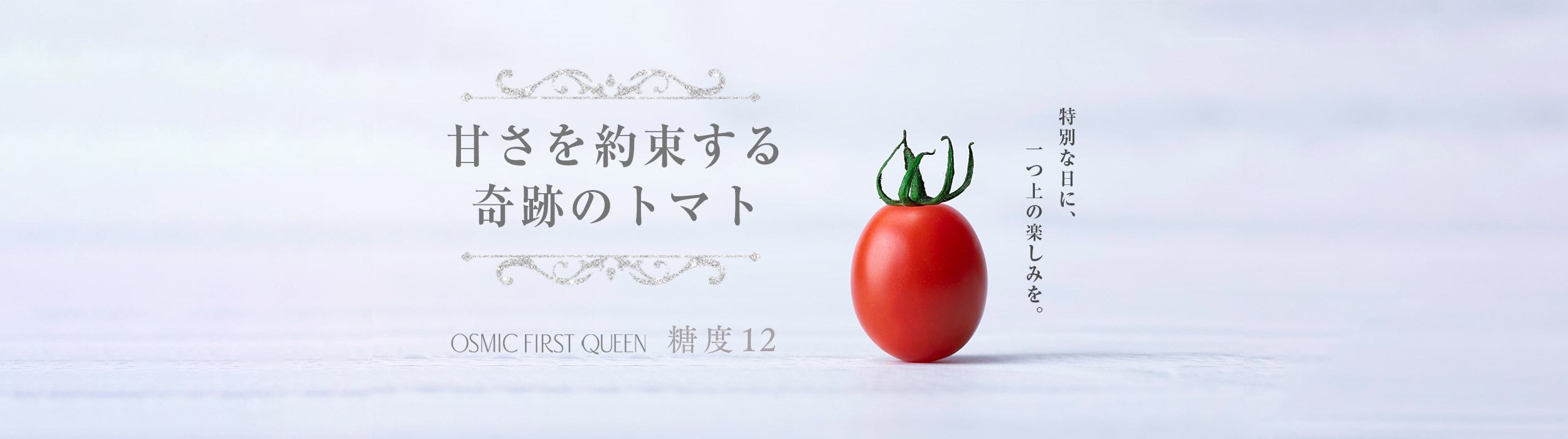 糖度12。特別な日に、一つ上の楽しみを。 OSMIC FIRST QUEEN