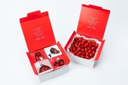 000000000425-01-xs.jpg?t=