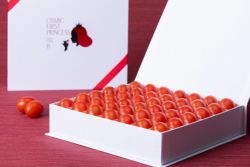 トマトプリン BEAUTY&YOUTH フルーツミニトマト PRINCESS 約450g | OSMIC FIRST onlineshop