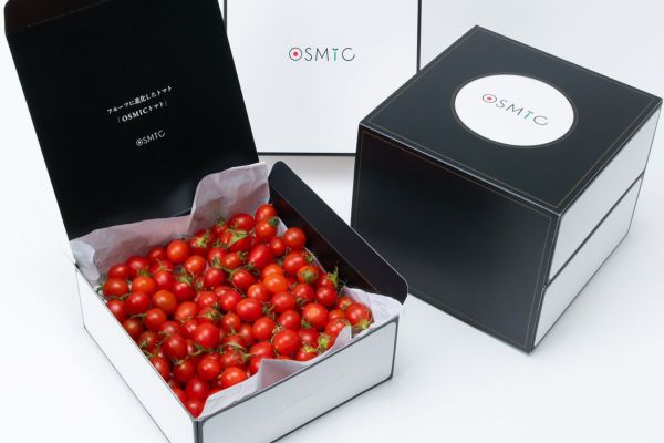 V3　4kg 高級ミニトマト『オスミックトマト』 Amazon.co.jp: オスミックトマト ミニ プレミアム 120g×8パック