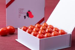オスミックファーストPRINCESS 化粧箱トマト150g