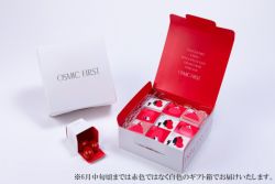 フルーツミニトマト PRINCESS プチギフトセット オスミックファースト OSMICFIRST
