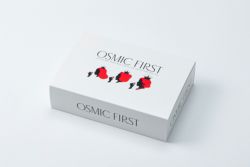 お歳暮 ギフト 贈り物 フルーツトマトジュース180ml 4本セット（QUEEN・PRINCESS） OSMICFIRST オスミックファースト