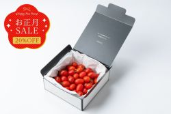 お正月セール 年末年始のお届け限定20%OFF OSMIC フルーツミニトマト 10（500g） 