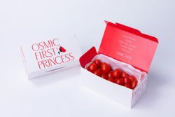 【定期便】フルーツトマト PRINCESS 300g OSMIC FIRST オスミックファースト