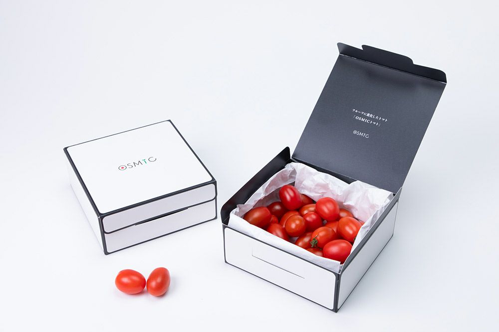 【定期便】OSMIC フルーツミニトマト 10（500g）