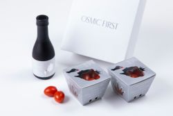 オスミックファースト OSMIC FIRST オスミックトマト フルーツミニトマト＆ジュース QUEENセット 糖度12 フルーツトマトジュース 高糖度 ギフト
