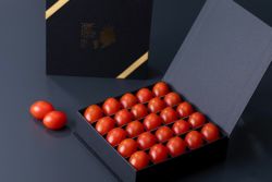 オスミックファースト OSMIC FIRST オスミックトマト 中元 ギフト フルーツトマト GRAND QUEEN 約250g