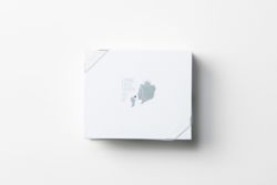 オスミックファースト OSMIC FIRST オスミックトマト 中元 ギフト フルーツミニトマト QUEEN 約150g