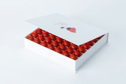 オスミックファースト OSMIC FIRST オスミックトマト 中元 ギフト フルーツミニトマト PRINCESS 約450g