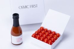 オスミックファースト OSMIC FIRST オスミックトマト 中元 ギフト フルーツミニトマト（化粧箱）&ジュース PRINCESSセット
