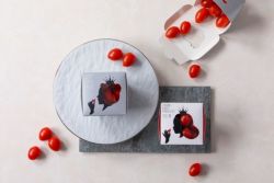 オスミックファースト OSMIC FIRST オスミックトマト 高糖度ミニトマト 糖度12 糖度11 フルーツミニトマト 食べ比べ2箱セット（QUEEN・PRINCESS）