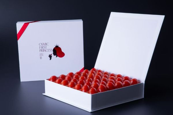 商品一覧 | OSMIC FIRST onlineshop