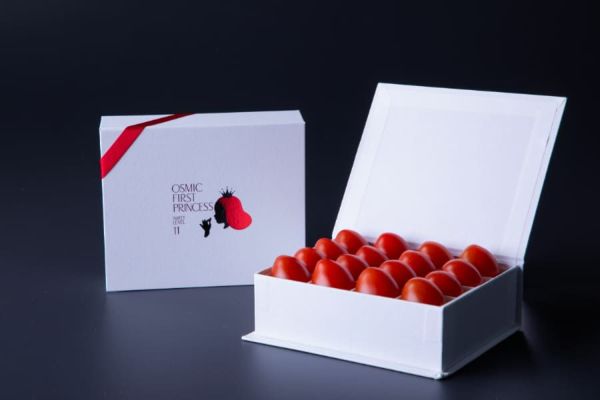 商品一覧 | OSMIC FIRST onlineshop