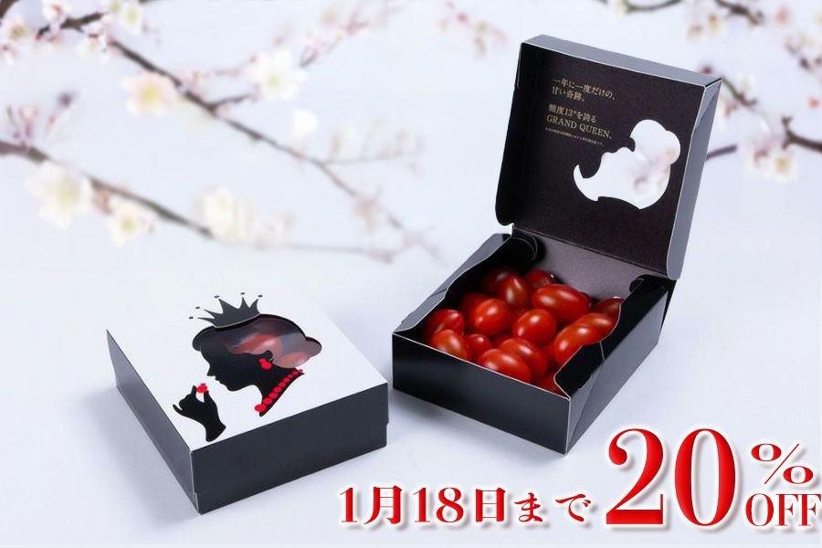 ウィンターセール2026 | OSMIC FIRST onlineshop